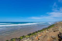 Charming oceanfront studio with easy beach access and stunning ocean views