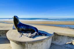 Dog Friendly Oceanview Condo with Great Location and Nearby Beach Access