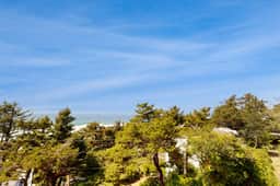 Dog Friendly Studio with Free WiFi Ocean Views and Easy Beach Access