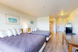 Dog Friendly Studio with Free WiFi Ocean Views and Easy Beach Access - Image 5