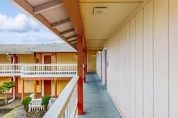Dog Friendly Spacious Room Located Near the Beach and Downtown