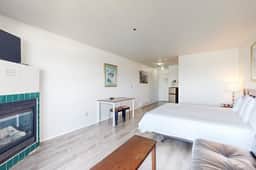 Dog Friendly Studio with Superb Ocean Views and Nearby Beach Access