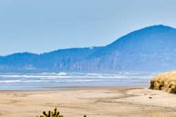 Dog Friendly Waterfront Condo with Ocean Views Moments From the Beach and Town