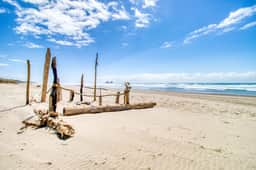 Dog Friendly Triplex 3 private apartments Easy Walk to the Beach and Town - Image 4