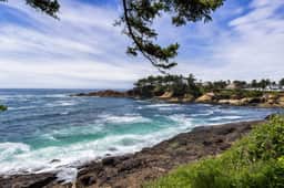 Dog friendly ocean view cabin with fireplace kitchenette deck and beach access