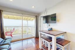 Lovely Oceanview Condo Close to the Beach Dogs Welcome