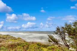 Dog friendly oceanfront home with private hot tub sauna and incredible view - Image 3