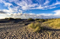 Dog Friendly Condo with Stunning Ocean Views and Easy Beach Access