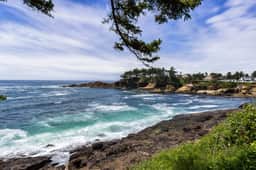Dog friendly ocean view cabin with fireplace kitchenette deck and beach access - Image 2