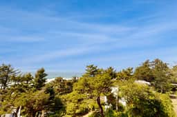 Dog Friendly Studio with Free WiFi Ocean Views and Easy Beach Access - Image 2