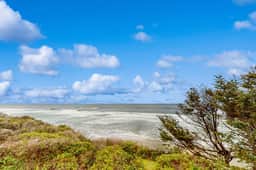 Dog friendly oceanfront home with private hot tub sauna and incredible view - Image 3
