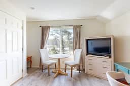 Great for Big Groups Three Dog Friendly Condos Lovely Views Walk to Beach - Image 4