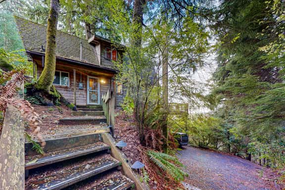 Dog friendly cabin with ocean view fast WiFi fireplace and washer dryer - Image 1
