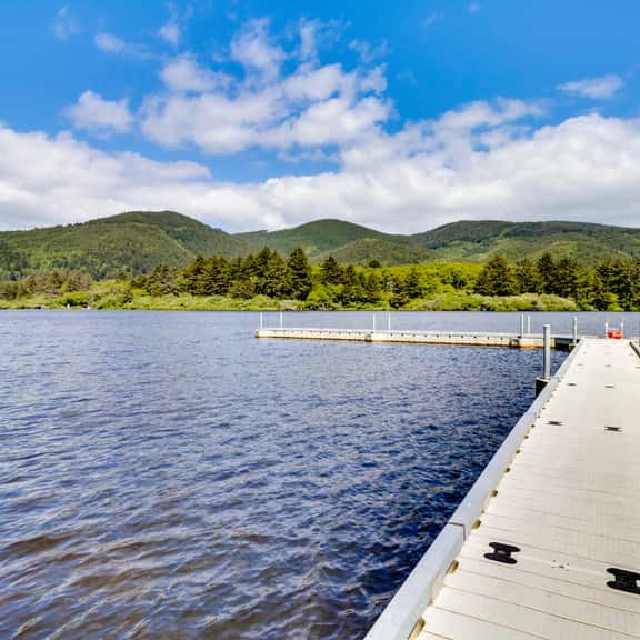 Welcoming dog friendly retreat near beach parks and Lake Lytle - Image 1