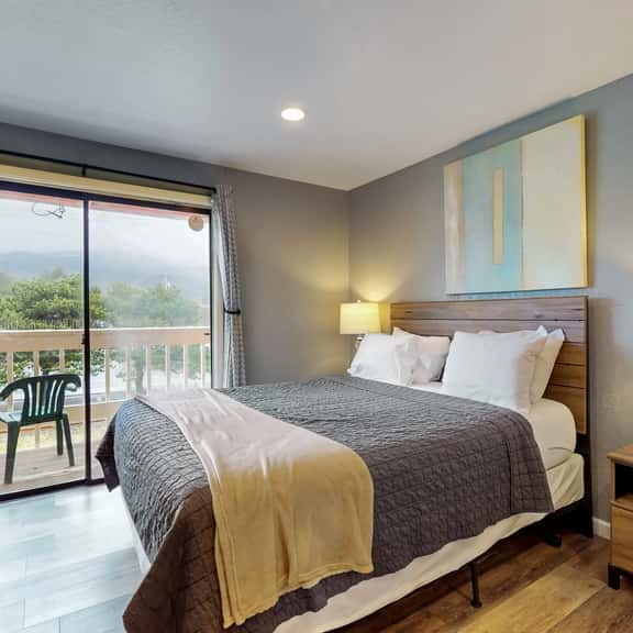 Classy Dog Friendly Studio with Free WiFi and Cable Walk to the Beach - Image 1