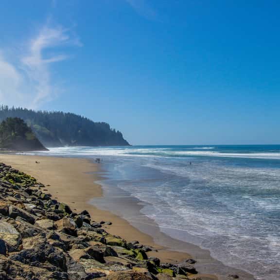 Dog friendly oceanfront condo with amazing ocean views steps to beach - Image 1