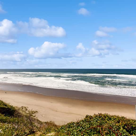 Oceanfront dog friendly home with 180 degree view deck and great location - Image 1