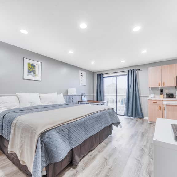 Dog friendly Two Room Combination Walk to Downtown and the Beach - Image 1