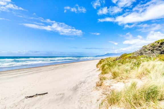 Modern Dog Friendly Cottage in a Great Location Minutes to Downtown and Beach - Image 2