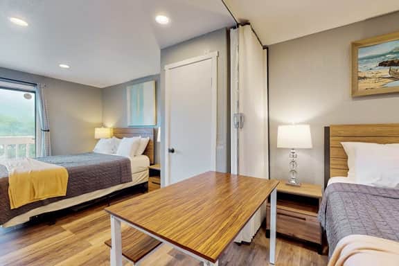 Classy Dog Friendly Studio with Free WiFi and Cable Walk to the Beach