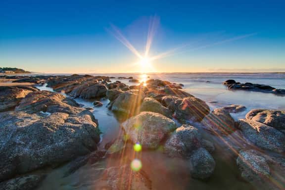 Dog Friendly Condo with Ocean View and Beach Access Perfect for Family Fun