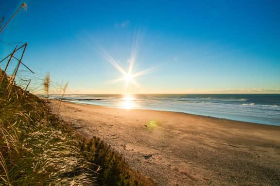 Dog Friendly Oceanview Condo with Great Location and Nearby Beach Access