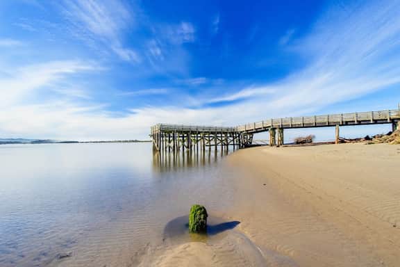 Dog Friendly Condo with Stunning Ocean Views and Easy Beach Access - Image 4