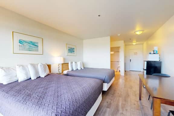 Dog Friendly Studio with Free WiFi Ocean Views and Easy Beach Access - Image 5