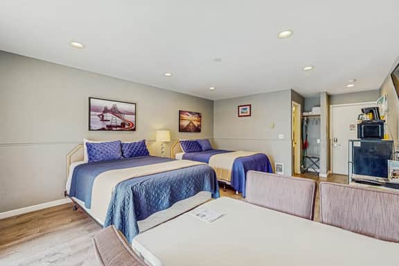 Dog Friendly Spacious Room Located Near the Beach and Downtown - Image 4