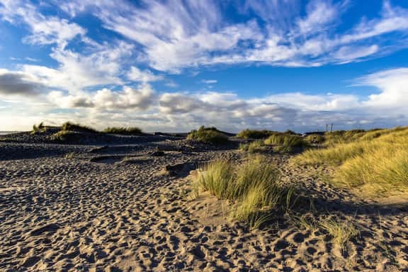 Dog Friendly Condo with Stunning Ocean Views and Easy Beach Access