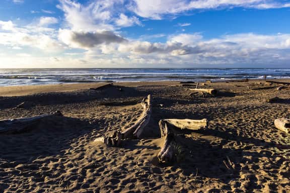 Dog Friendly Condo with Stunning Ocean Views and Easy Beach Access
