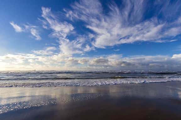 Dog Friendly Condo with Stunning Ocean Views and Easy Beach Access
