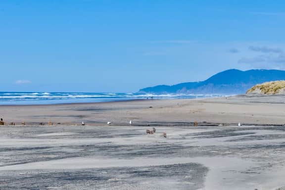 Vintage Style Home with Easy Beach Access Dog friendly