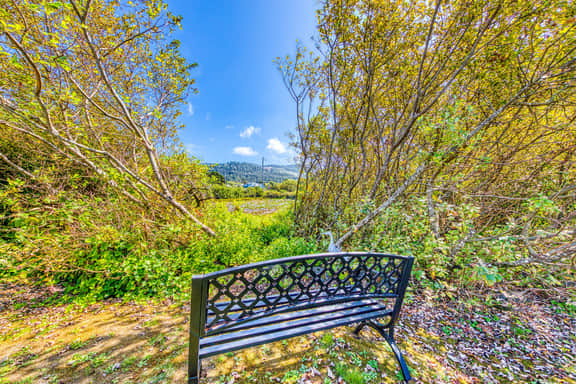 Dog friendly welcoming classic beach cottage with water views - Image 5