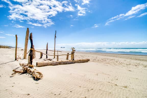 Four Dog Friendly Rentals Near Beach Access Ideal for Multi Families - Image 2