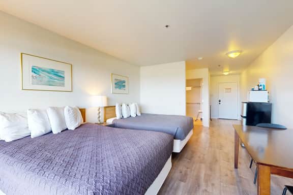 Dog Friendly Studio with Free WiFi Ocean Views and Easy Beach Access - Image 5