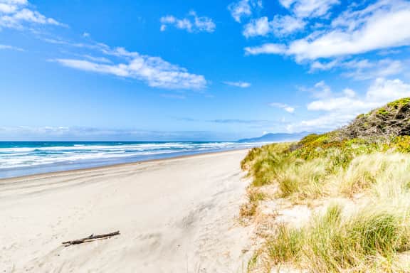 Just Across Street from Beach Ocean Views and Bright Interior Dog friendly - Image 2