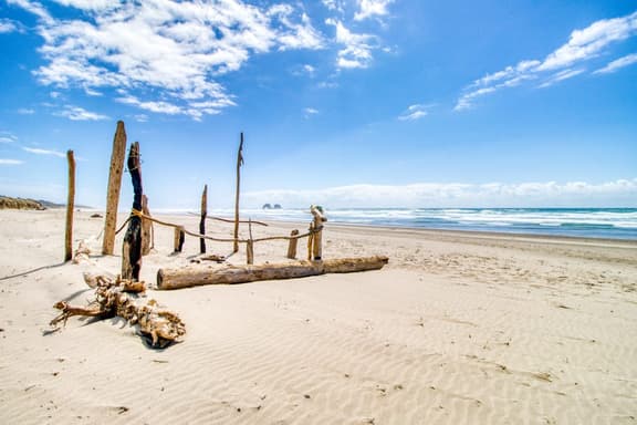 Two Dog Friendly Studios with Full Kitchen and Kitchenette Walk to the Beach