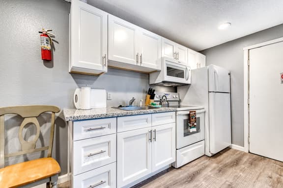 Six Dog Friendly Rooms with Full Kitchens and Kitchenettes Walk to the Beach
