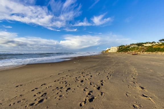 Dog Friendly Condo with Stunning Ocean Views and Easy Beach Access
