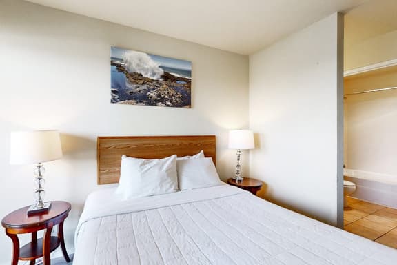 Lower Level Ocean View Studio Close to the Beach Dogs Welcome